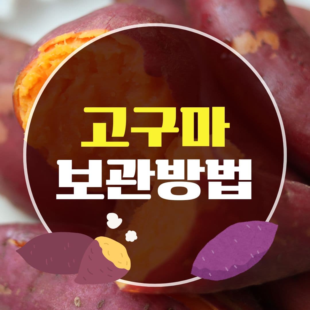 고구마 보관방법