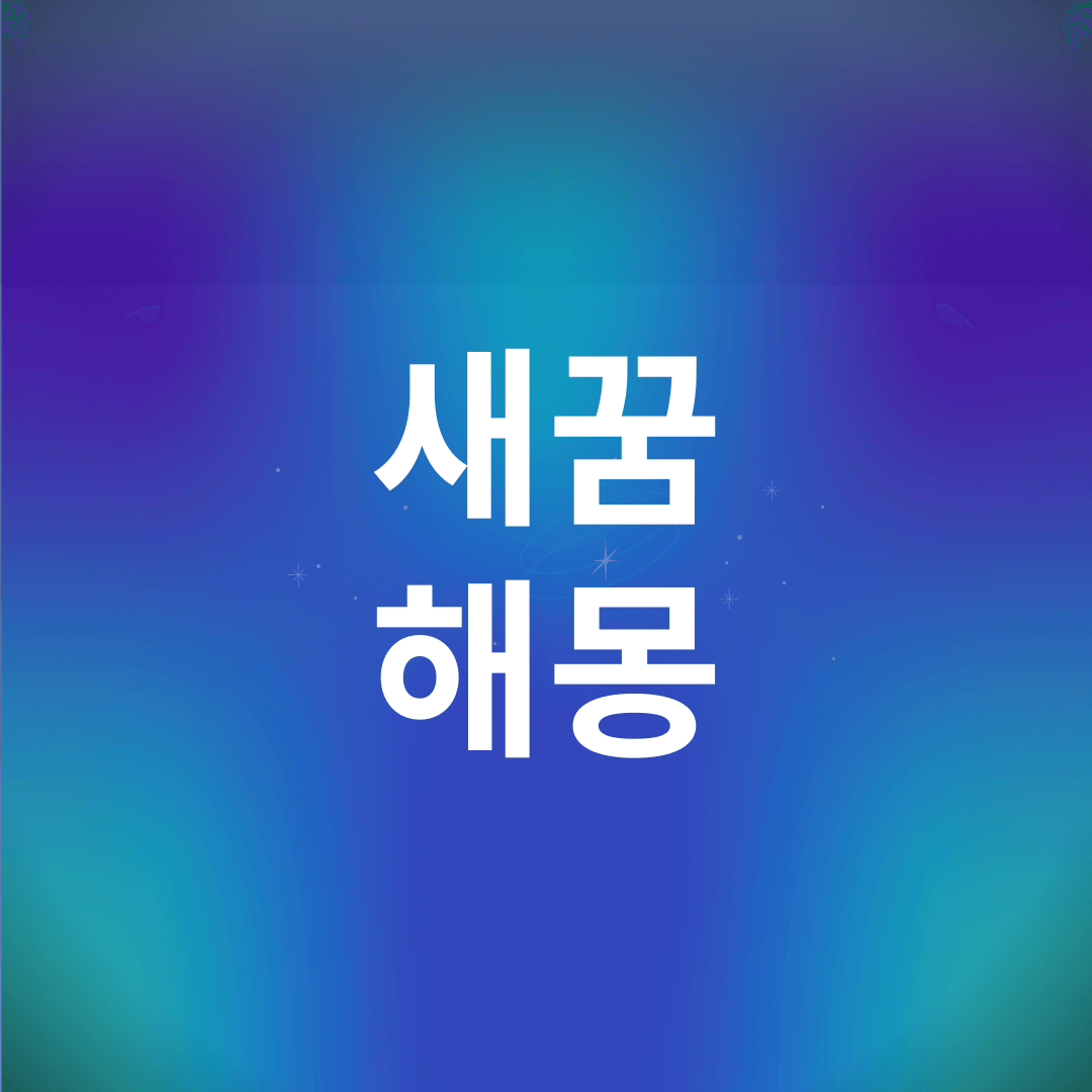새 꿈 해몽