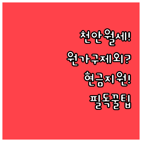 2026년 천안시 청년 월세 지원 혜..
