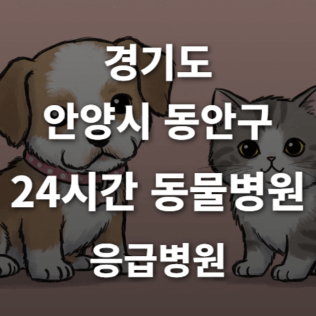 [경기도 안양시 동안구 24시간 동물병원(평촌동, 비산동, 관양동)] 365일 연중무휴 반려동물 응급상황 대처 가능한 진료소