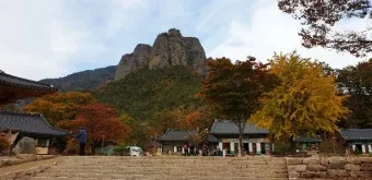 &amp;quot;청송