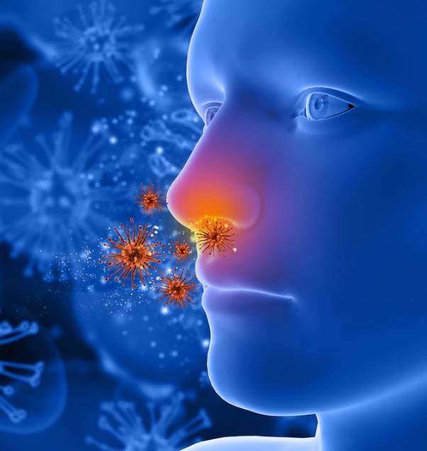 콧속으로 알레르기 유발 물질이 들어가고 있는 그림