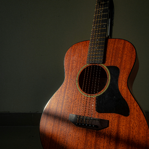 acoustic guitar