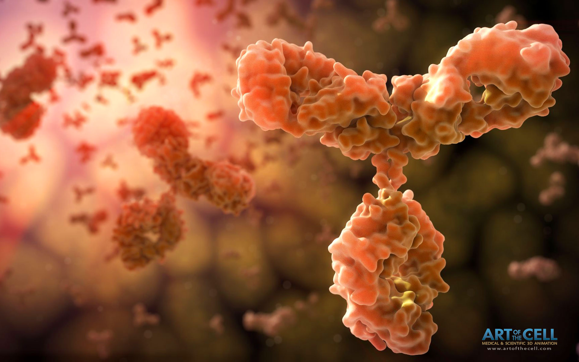 인간 항체는 박테리오파지도 위험한 침입자라 판단해 무조건 공격한다