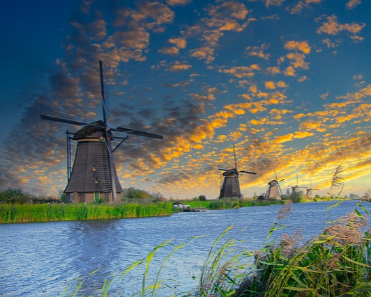 a형 독감증상과 예방법 10