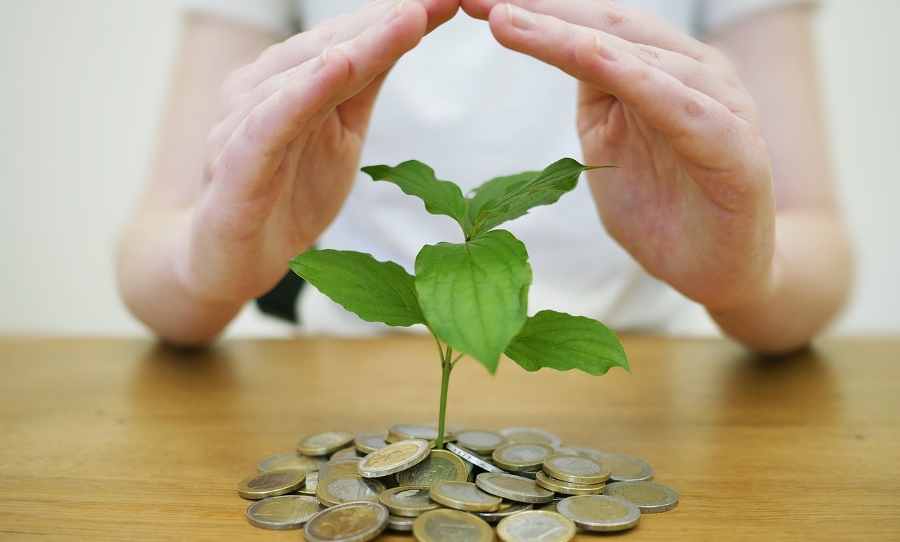 예금 관련 사진