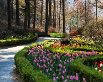 아침고요수목원_18