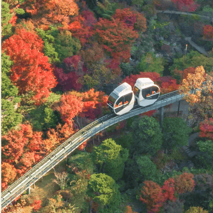 화담숲 취소표 예매