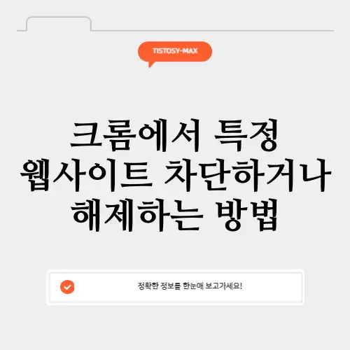 크롬 웹사이트 차단 해제 방법