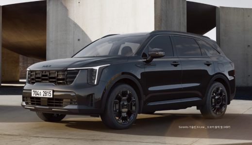 25년 12월 자동차 판매량 순위