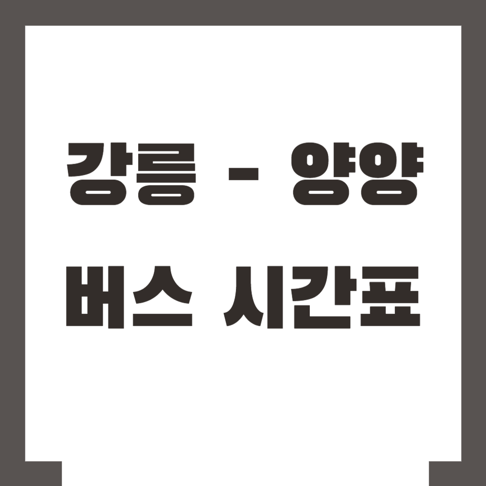 강릉 양양 버스 시간표