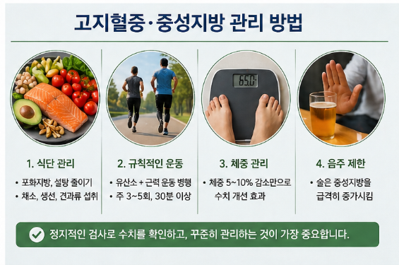 고지혈증 vs 중성지방 차이, 반드시 같이 관리해야 하는 이유