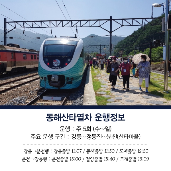 요금 정보