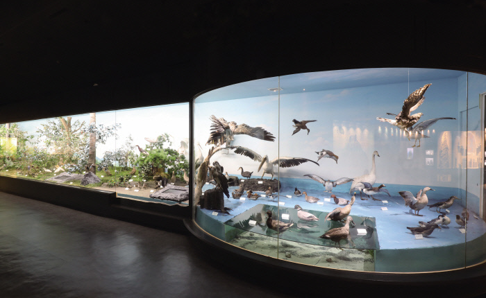 민속자연사박물관