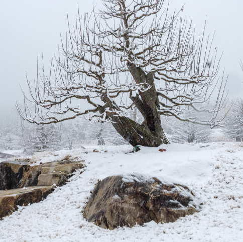 대구 군위 사유원 관람 예약