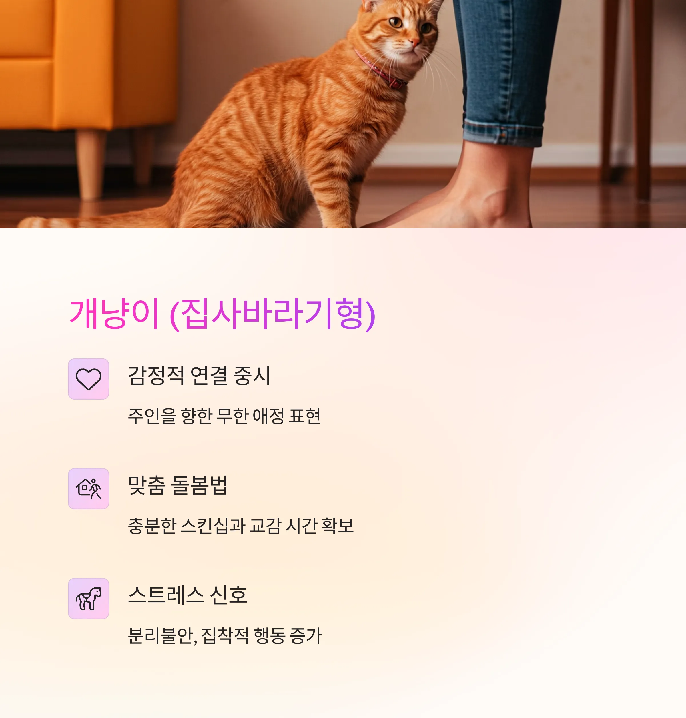 고양이 성격 유형별 맞춤 돌봄법