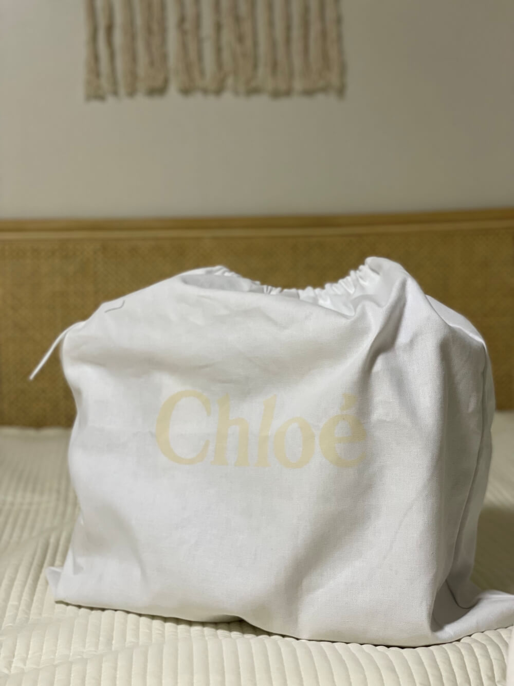 끌로에(Chloe)-가방-기본-케이스-모습