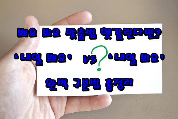 봬요 뵈요 맞춤법 헷갈린다면? ‘내일 봬요’ vs ‘내일 뵈요’ 완벽 구분법 총정리