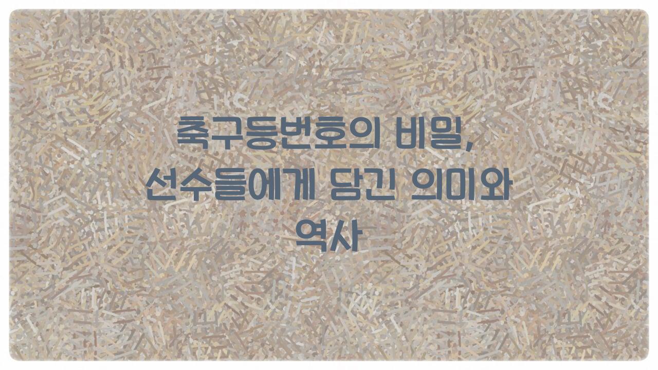 축구등번호