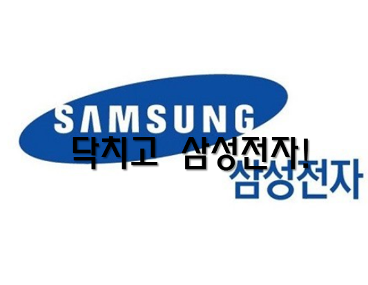 닥치고 삼성전자 매수