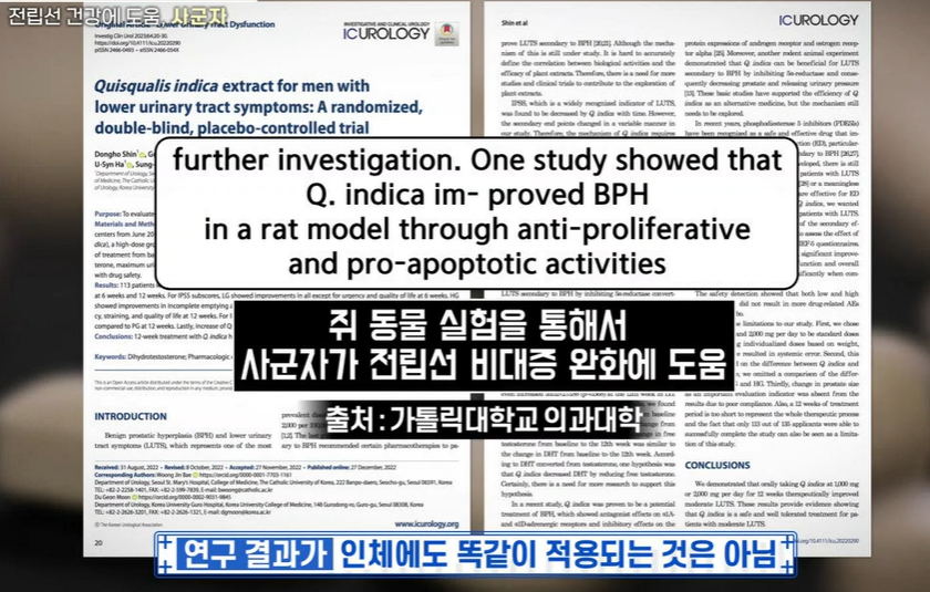 전립선 사군자