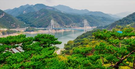 생방송 투데이 송어회 향어회 충북 충주