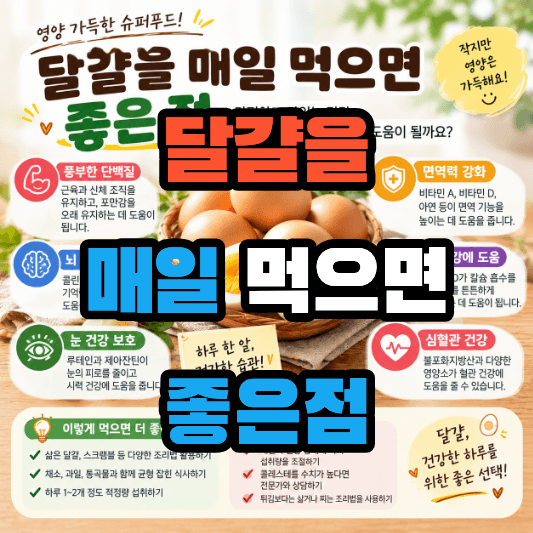 달걀을 매일 먹으면 좋은점