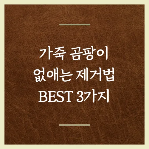 가죽-곰팡이-없애는-제거법-3가지