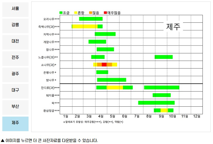 꽃가루 달력