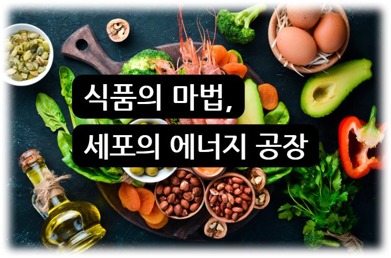 &quot;에너지 대사: 식품의 마법, 세포의 에너지 공장 (에너지 생산 과정) (2-1)&quot;