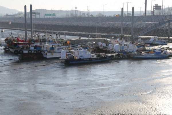 장봉도 배시간 배편 배요금