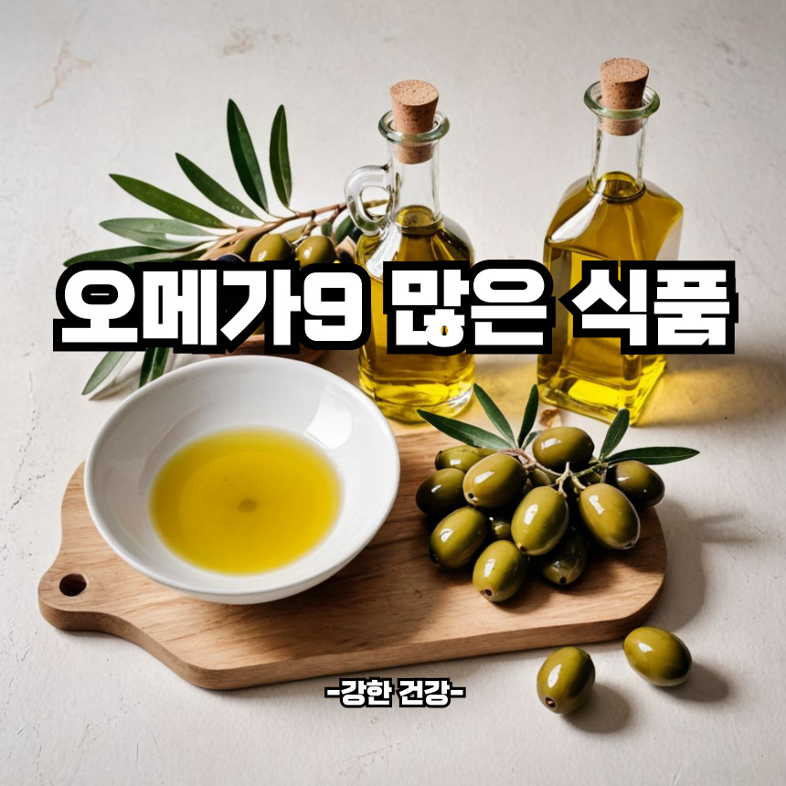 오메가9 많은식품