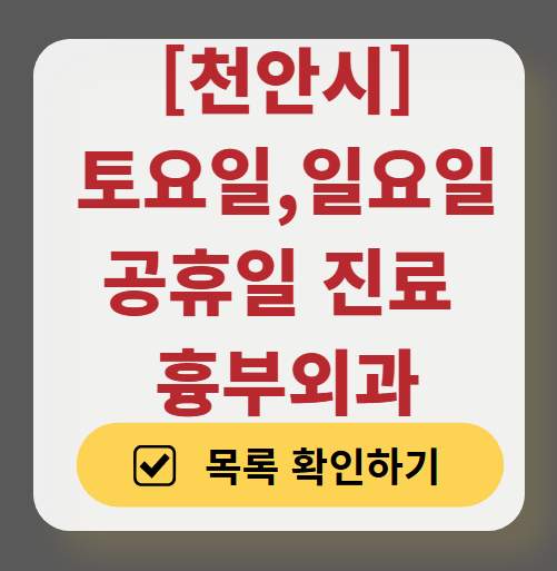 천안시 주말 토요일 일요일 흉부외과 진료 병원 목록 ❘ 공휴일 진료 영업 병원 리스트 찾기