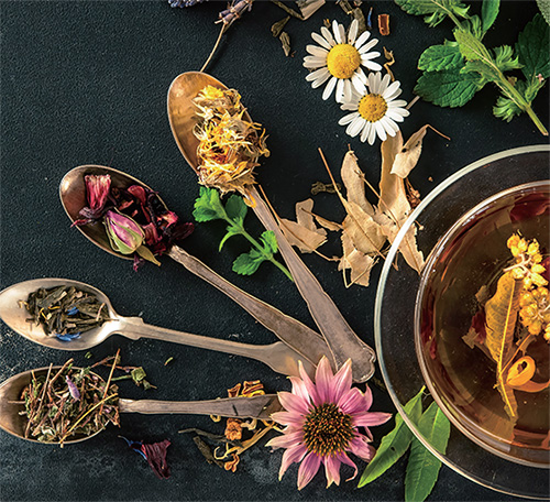 사계절에 어울리는 전통차 추천 봄, 여름, 가을, 겨울