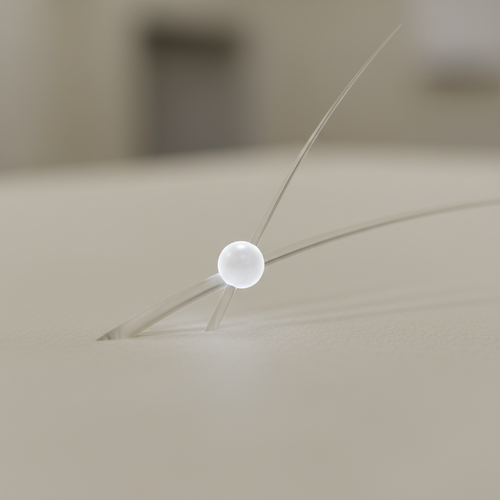 사면발이 알, 과연 육안으로 보일까?