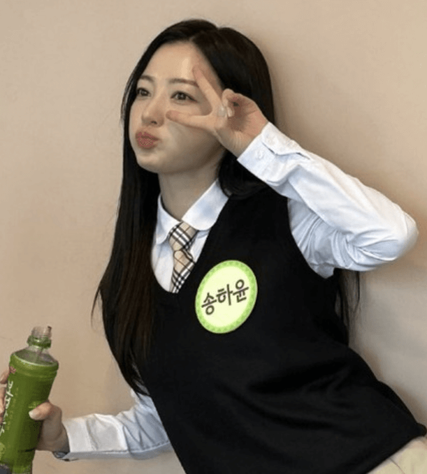 송하윤 학폭 논란