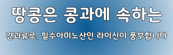  땅콩은 콩과에 속하는 견과류로, 필수아미노산인 라이신이 풍부합니다