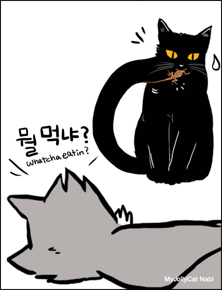 고양이-카툰-2nd-그림