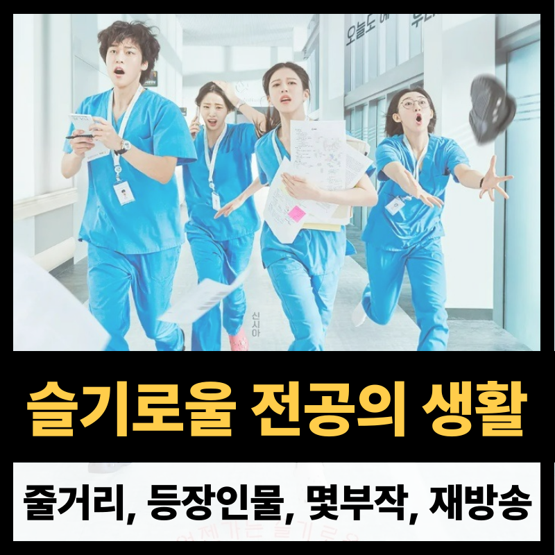슬기로울 전공의생활 인물관계도 몇부작 줄거리 재방송