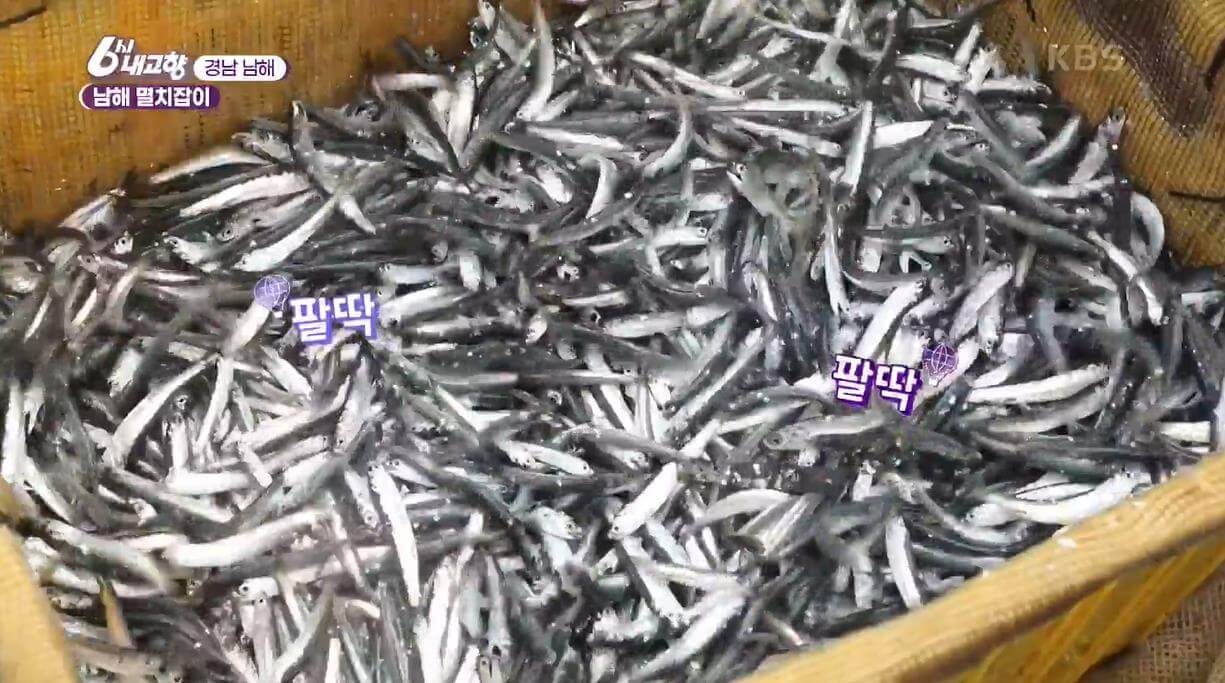 6시내고향-남해-멸치
