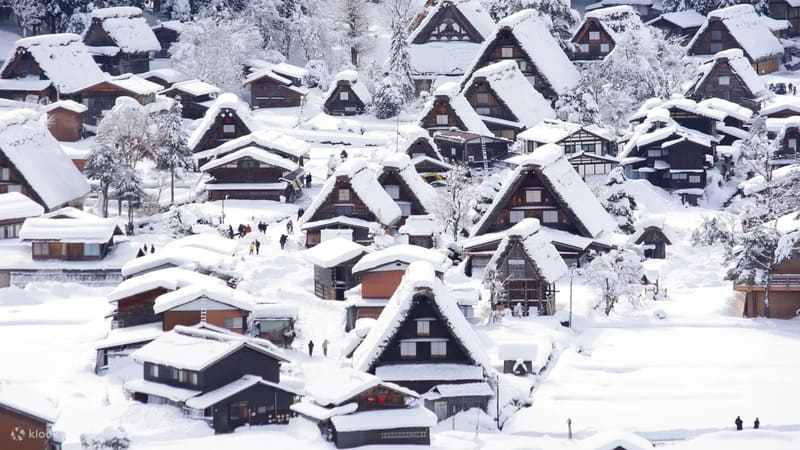 다카야마 시라카와고 1일 버스투어 나고야 출발 일본 한국인 가이드
