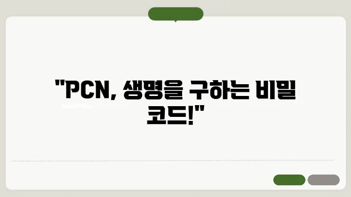 의학용어 PCN