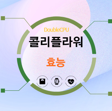 콜리플라워 효능 탐구