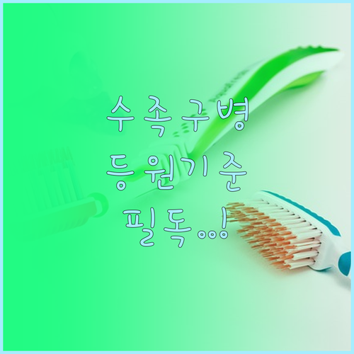 수족구병 전염 예방을 위한 위생 관리..