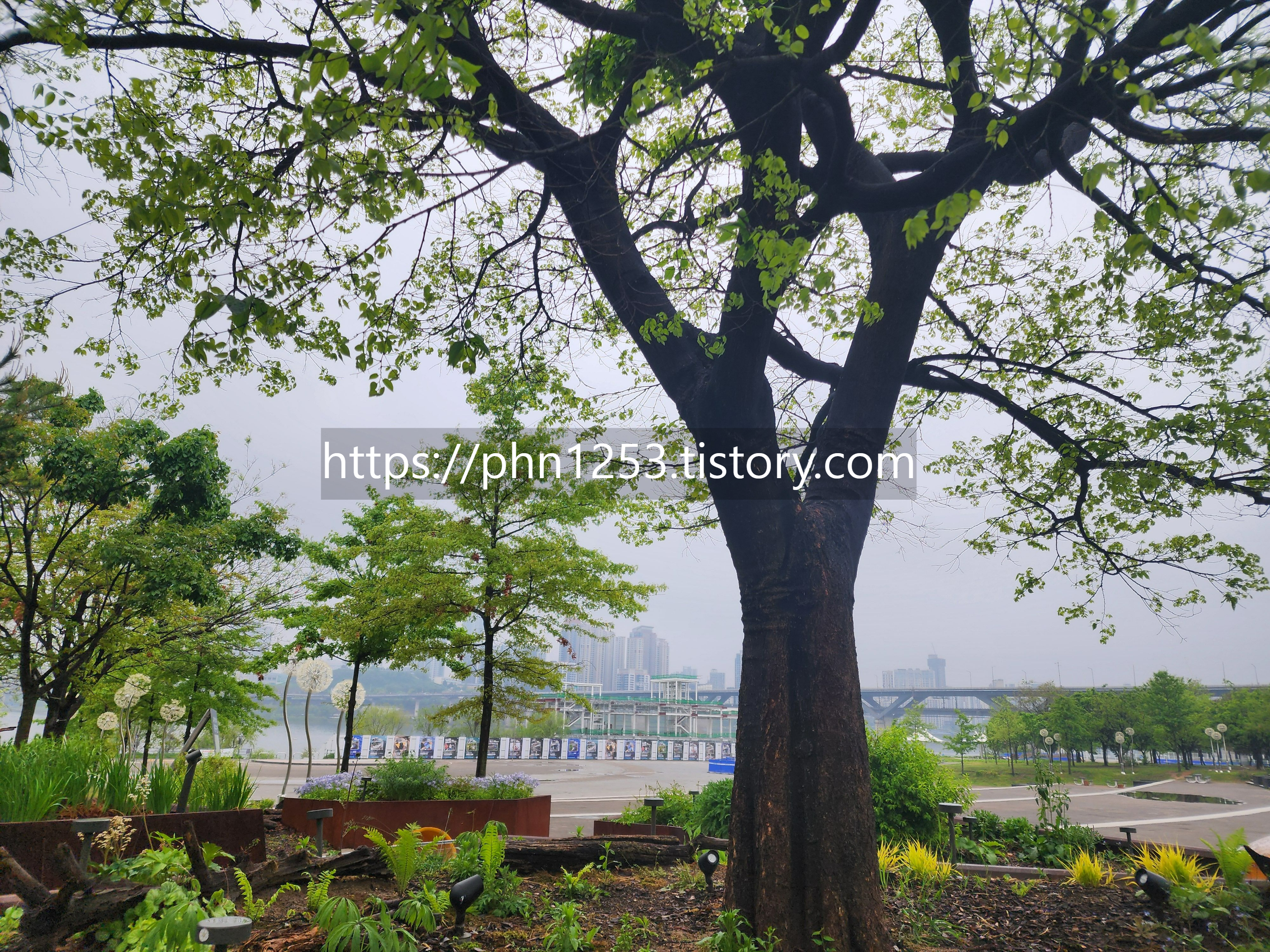 Alt 속성 문제 해결 설명 이미지