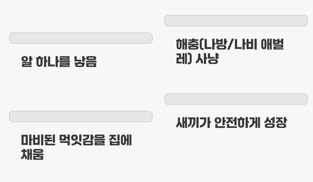 3. 내 정원의 해충 사냥꾼