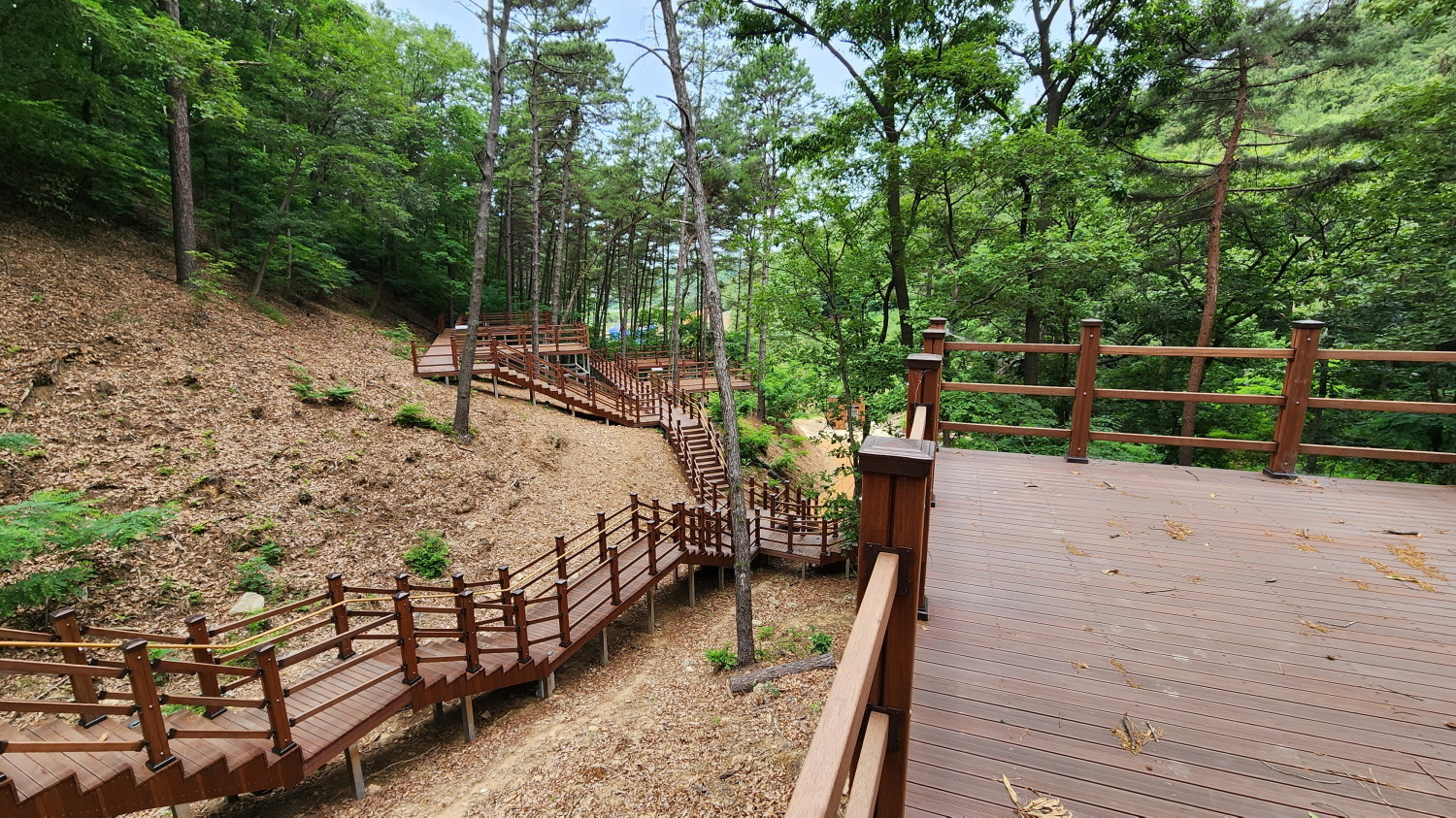 서울 근교 무봉산 자연휴양림
