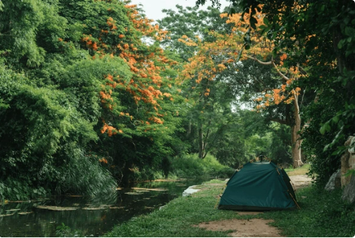 기초생활수급자혜택 산림복지바우처