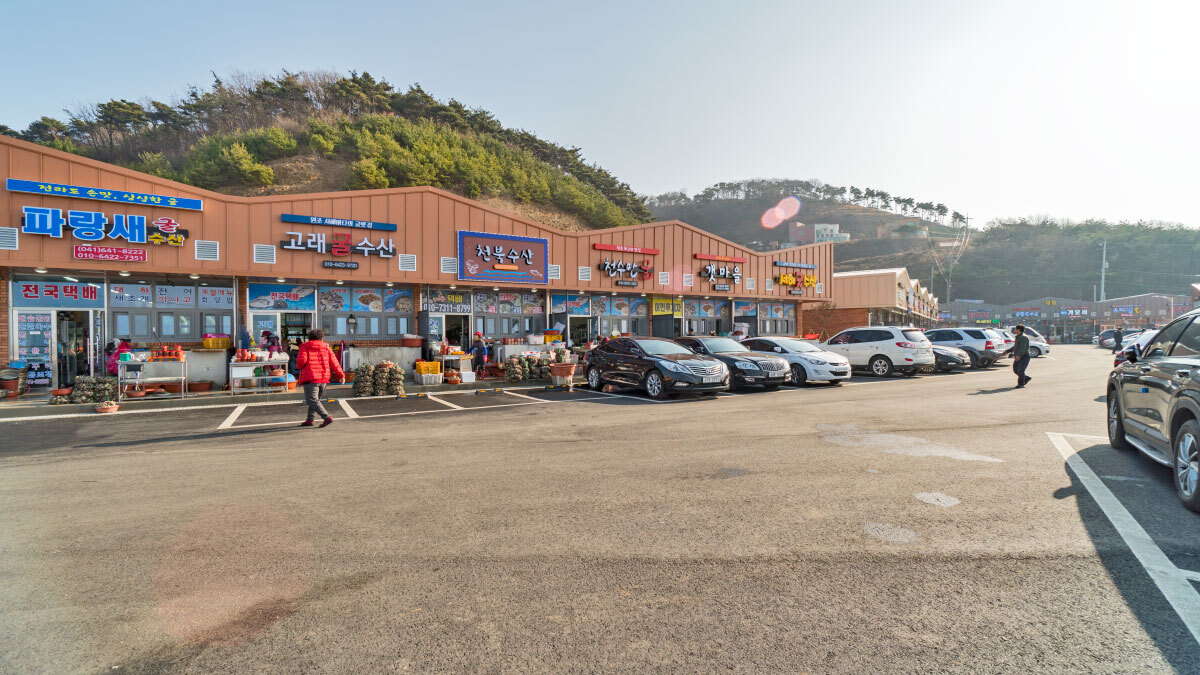 전북 굴단지