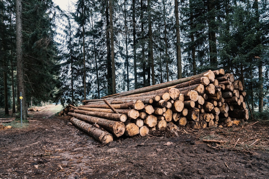 Forestry